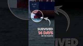 14 Days on a ship's rudder, but Why? 😱