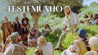 EVANGELHO DO DIA 19/10/2024 - LUCAS 12,8-12 - TESTEMUNHO