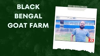 Black Bengal Goat Farm 2023 Hindi