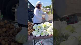 Exploring Pinellas Farmers Market in Florida 2024