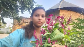 आलेयाक चासा santali vlog video Tina murmu Vlog