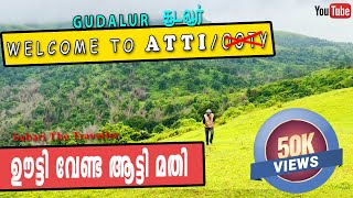 ATTI  | 3 DIVISION  | ഊട്ടി വേണ്ട അട്ടി മതി |NEELGIRI  GUDALUR