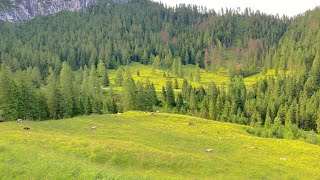 Dolomites 10 Day Hut to Hut Hiking in Italy - Day 9 to Rif. Pramperast