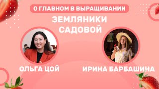 О главном в выращивании земляники садовой | Ирина Барбашина