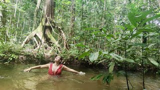 Rio Amazonas & Alter do Chão - Brasil 2022