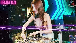 最好的音樂Chinese DJ Hot Tiktok Douyin Dj抖音版2024  优秀的产品 2024  最佳中国 dj 音乐