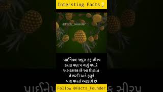 Facts in Gujarati |Shorts for Facts | Facts short  | Daily Facts | Amazing Facts | Facts For Life