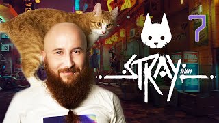 КОТ ЖАРИТ ЯЙКИ⚡STRAY⚡7 ЧАСТЬ