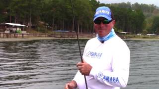 Randall Tharp – BassFan Memory Lane