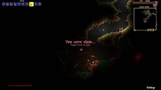 Terraria Pro Gamer Moments