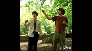 #harrypotter #johnwilliams short video...Harry Potter