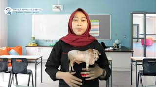 B. FARA - PENGOLAHAN BAHAN PANGAN PETERNAKAN DAN PERIKANAN - PRAKARYA KELAS 9