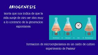 Las teorías de la vida