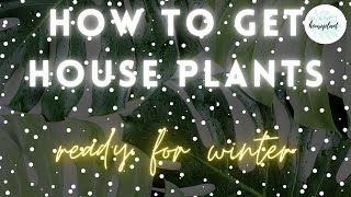 How to Get House Plants Ready For Winter