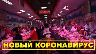 Новый пекинский вирус и нулевой уровень заболевших