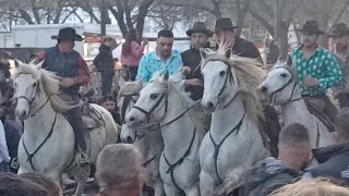 Féria d'Arles - Bandido - 09/04/2023