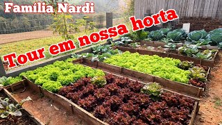 Mostrando a nossa horta. Como está as nossas verduras. Alface, repolho, beterraba, brócolis, couve 🥬