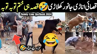 Dangerous qurbani moments 2024 🥺 || Eid UL Azha Funny Animals Attacks || Israr Info Tv