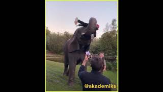 Lil Pump Gets Had Up By Elephant!!!