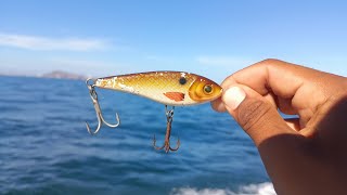 Pesca a trolleo en la costa de Mazatlán|| Parguiza!! ||