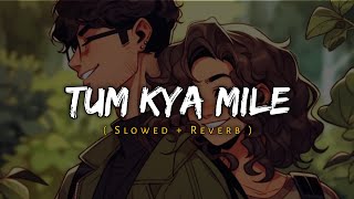 Tum Kya Mile [ Slowed + Reverb ] Arijit Singh | Music Lover