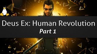 Linux gaming - Deus Ex: Human Revolution - part 1