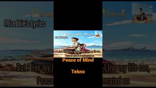 Peace of mind#music #lyricvideo #afrobeats #tekno #songs #shortvideo