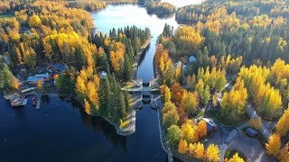 Lentelyä syksyn auringossa | DJI SPARK