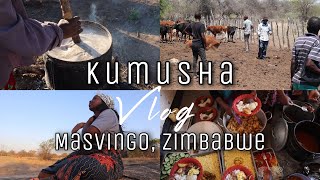 ZIMBABWE TRAVEL VLOG |Kumusha (Rural Area) | Masvingo | Weekend in Masvingo | PART 1