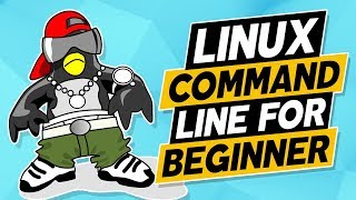 Linux for Beginners: Understanding the PATH variable