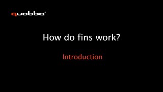 1: How do fins work? Introduction