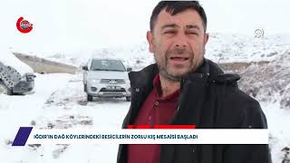 Iğdır'ın dağ köylerindeki besicilerin zorlu kış mesaisi başladı #haber #sondakika #gündem #ığdır