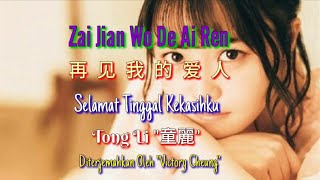 Zai Jian Wo De Ai Ren 再见我的爱人 - Goodbye My Love  - 童麗 Tong Li ( Lirik Dan Terjemahan)