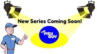 New Series Coming Soon!!