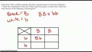 8 Q Monohybrid Problems (14:20)