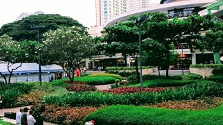 Ayala Center Cebu | Ayala Terraces