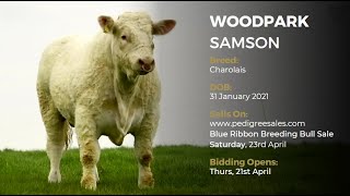 WOODPARK SAMSON - Charolais - Pedigree Sales