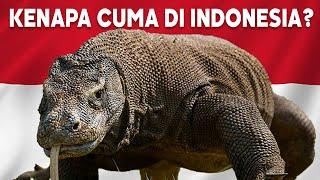 Mengapa Komodo Hanya ada di Indonesia | #BelajarDuniaPurba