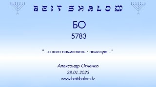 БО 5783. "...и кого помиловать - помилую..." (Александр Огиенко 28.01.2023)