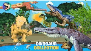 More Dinosaur Mattel Collection : Sinotyrannus , Indominus Rex, Herrerasaurus...