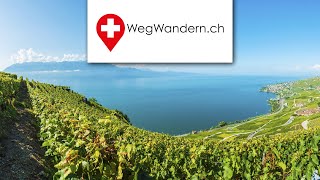 Wanderung durch die Weinterrassen von Lavaux