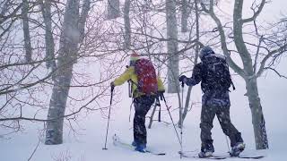 Ski with Wasatch Mountain Guides! #wasatchmountainguides