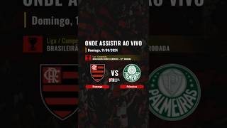 Onde assistir Flamengo x Palmeiras ao vivo: Brasileirão Série A (Brasil) - 22° rodada