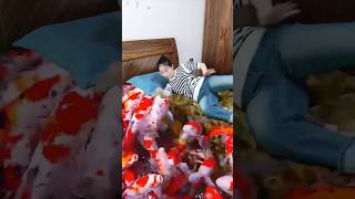 জাদুকরী বিছানা😱Amazing Bed😱,#youtubeshorts