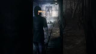 Fatal frame taking horror to the next level.