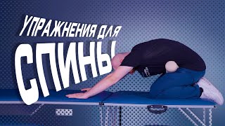 5 упражнений от скованной поясницы