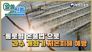 [알쓸신농 3화] 📣신기술을 이용해서 과수 개화기 저온피해 예방하세요!! 👍