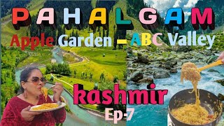 Pahalgam ll Aru Valley ll Betaab Valley ll Chandanwadi ll places to visit in kashmir ll Episode-7