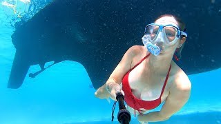 Sexy Girl Swimming Under A Boat