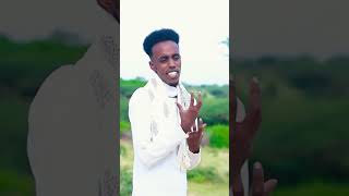 qurux caan baxday dhaanto cusub      #somalimusic #aroos #musicvideo #dhaanto #love #heescusub